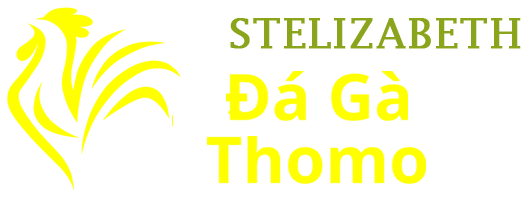 Đá Gà Thomo Trực Tiếp